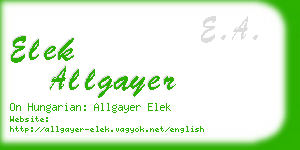 elek allgayer business card